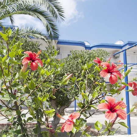 Manolis Κέφαλος